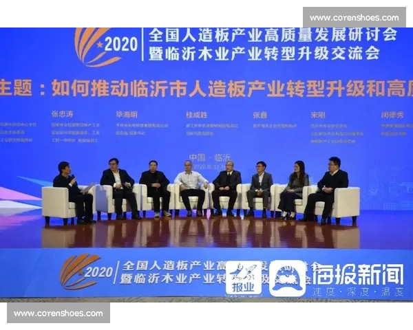 体育产业高质量发展与创新升级推动经济转型新路径探索