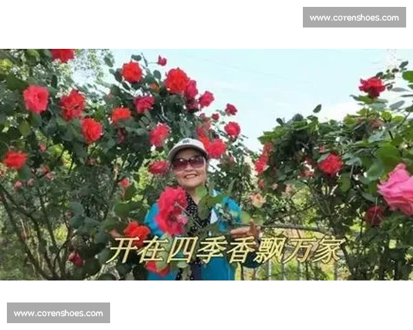还有哪些花将登上舞台角逐最美之花的荣耀称号